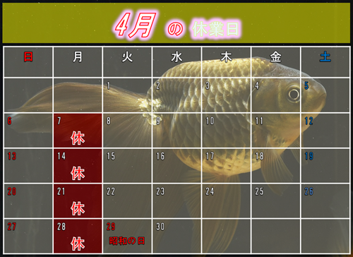 4Υ