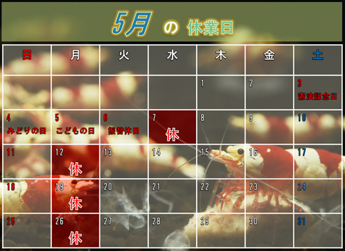 Υ