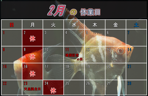 ����Υ�������