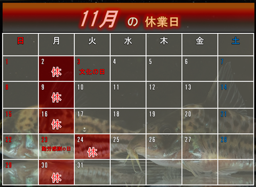 11月のカレンダー